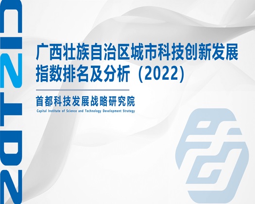 操日本老骚比【成果发布】广西壮族自治区城市科技创新发展指数排名及分析（2022）